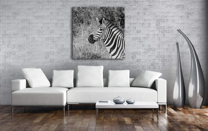 deyoli edles Zebra Format: 70x70 Effekt: Schwarz&Weiss als Leinwandbild, Motiv fertig gerahmt auf Ec