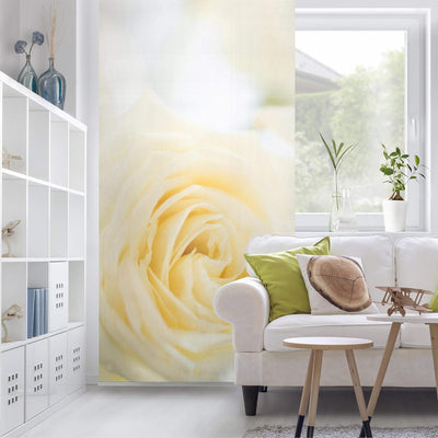 Bilderwelten Raumteiler White Rose 250x120cm ohne Halterung 250x120cm without hanger, 250x120cm with