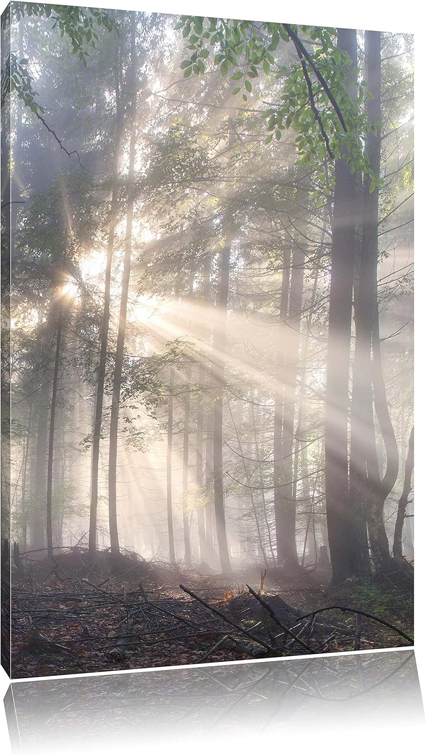diesiger Waldweg, Format: 100x70 auf Leinwand, XXL riesige Bilder fertig gerahmt mit Keilrahmen, Kun