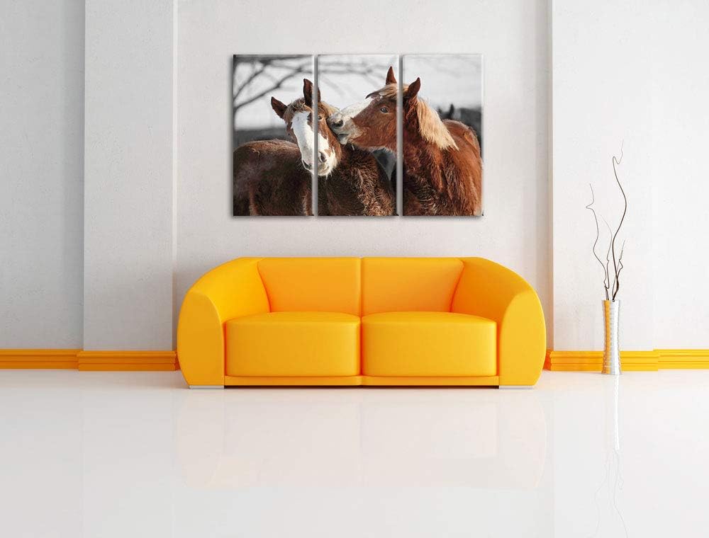 zwei braune Ponys schwarz/weiss 3-Teiler Leinwandbild 120x80 Bild auf Leinwand, XXL riesige Bilder f