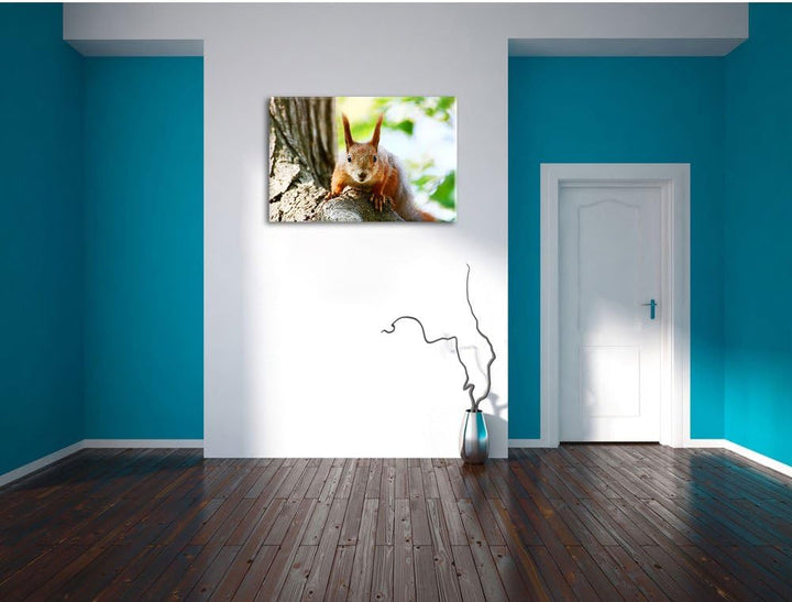Pixxprint interessantes Eichhörnchen auf dem Baum, Format: 100x70 auf Leinwand, 100x70