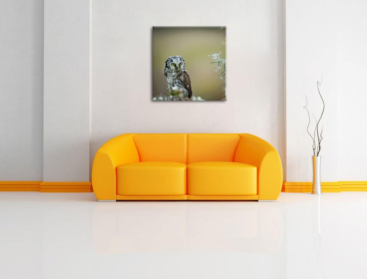 Pixxprint Kauz bestaunt Blatt als Leinwandbild Quadratisch/Grösse: 70x70 / Wandbild/Kunstdruck/ferti