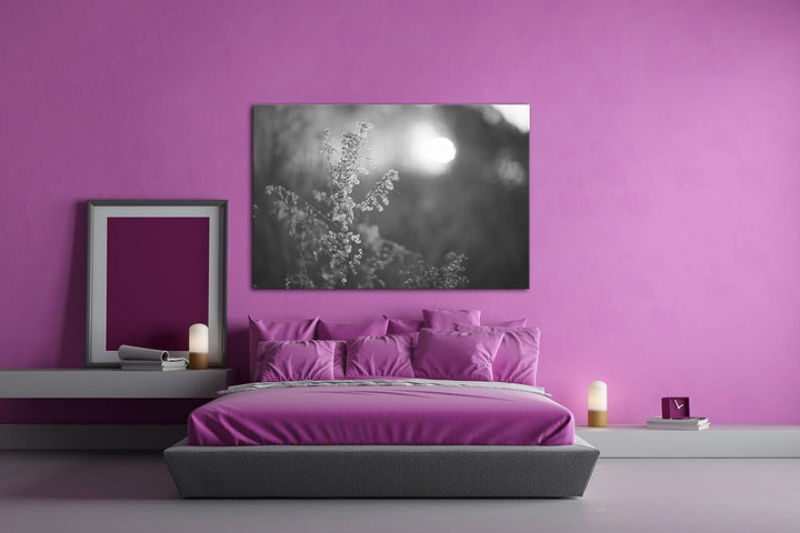 deyoli Gräser bei Dämmerung Effekt: Schwarz/Weiss im Format: 100x70 als Leinwandbild, Motiv fertig g