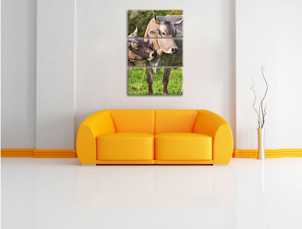 Pixxprint Kühe auf der Weide als Leinwandbild/Grösse: 3 Teilig (120x80 cm) cm/Wandbild/Kunstdruck/fe