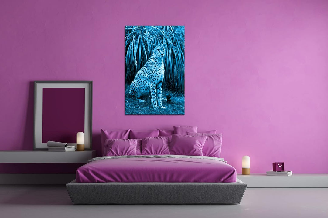 deyoli sitzender Gepard Format 80x60 Effekt: Monocrome Blau als Leinwandbild, Motiv fertig gerahmt a