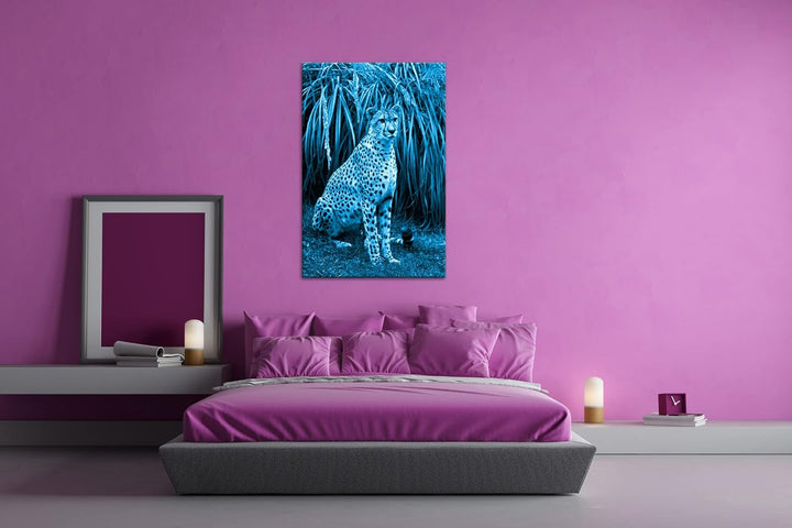 deyoli sitzender Gepard Format 80x60 Effekt: Monocrome Blau als Leinwandbild, Motiv fertig gerahmt a