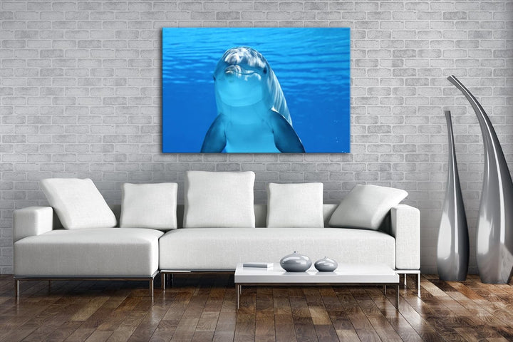 deyoli entzückender Delphin Format: 80x60 als Leinwandbild, Motiv fertig gerahmt auf Echtholzrahmen,