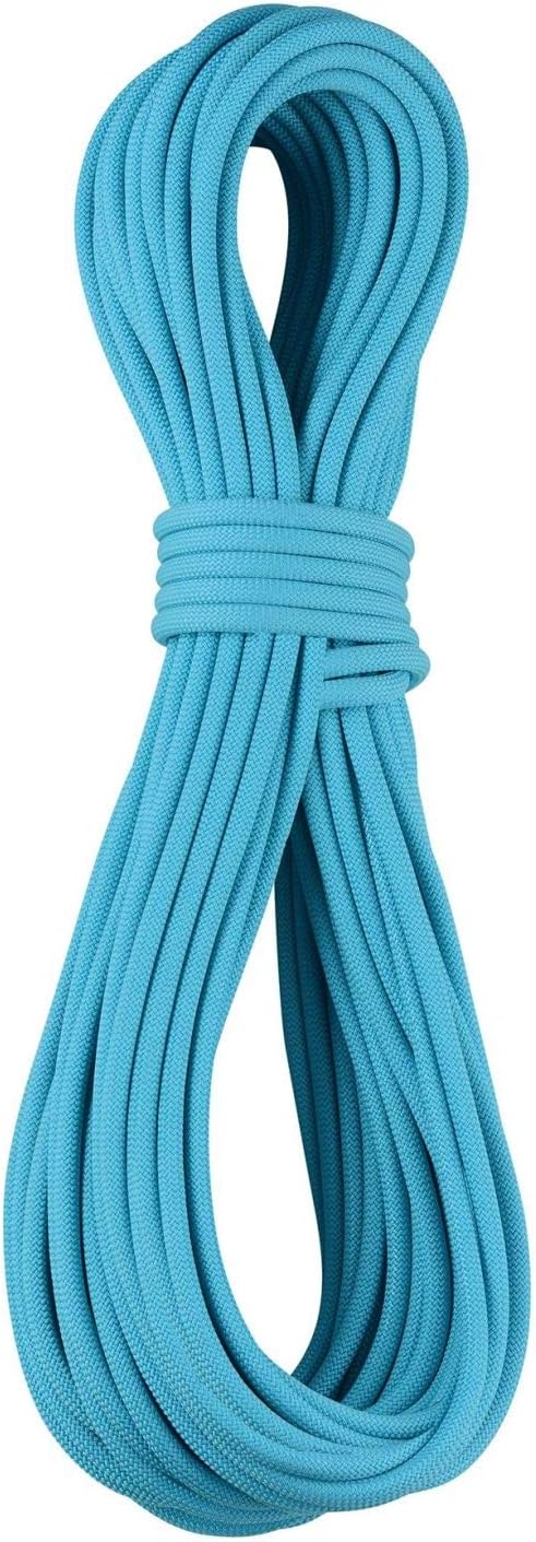 EDELRID Apus Pro Dry 7,9 mm icemint, icemint