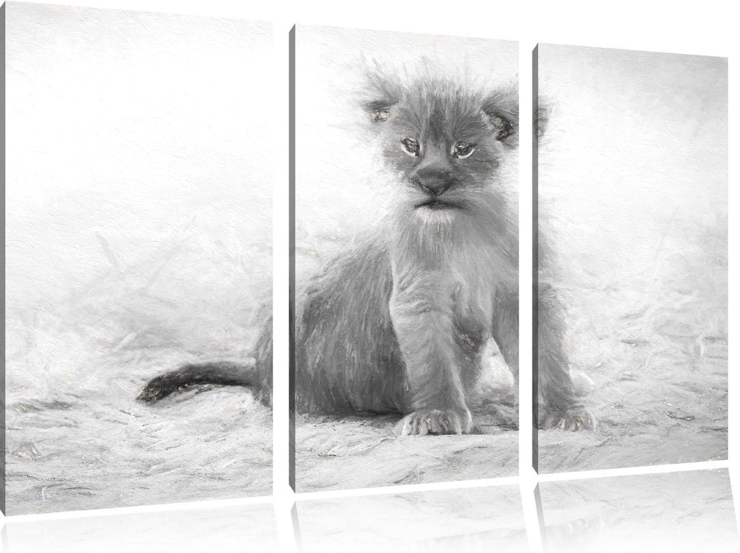 Pixxprint Verlassenes Löwenbaby als Leinwandbild/Grösse: 3 Teilig (120x80) cm/Wandbild/Kunstdruck/fe