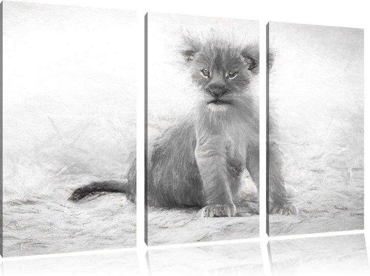 Pixxprint Verlassenes Löwenbaby als Leinwandbild/Grösse: 3 Teilig (120x80) cm/Wandbild/Kunstdruck/fe