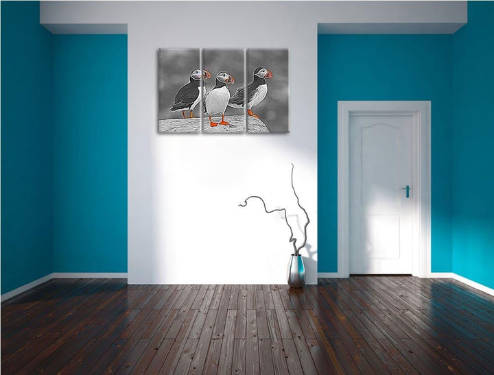 elegante Papageitaucher auf Felsen schwarz/weiss Spezial 3-Teiler Leinwandbild 120x80 Bild auf Leinw