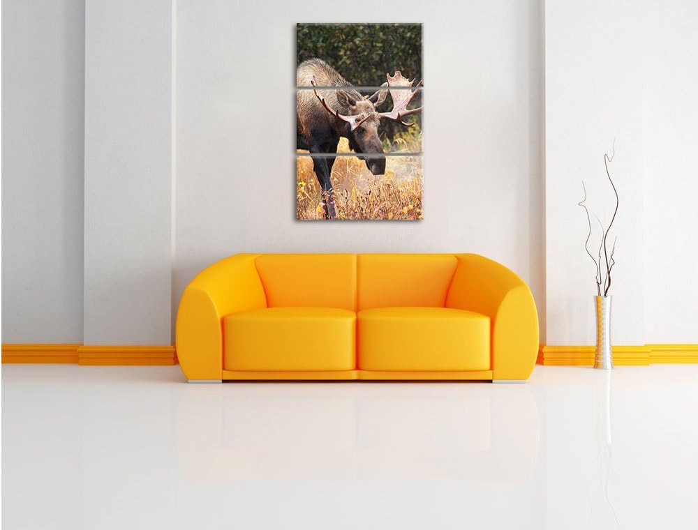 Pixxprint Grosser Elch als Leinwandbild | Grösse: 3 Teilig (120x80) | Wandbild| Kunstdruck | fertig