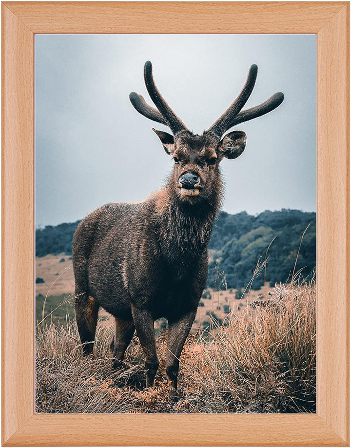 Rahmendesign24 Posterrahmen Fiona 59,4x84 (DIN A1) Buche Fotorahmen, Wechselrahmen, Bilderrahmen, 59