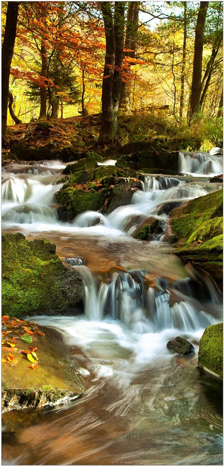 Bilderwelten Raumteiler Wasserfall herbstlicher Wald 250x120cm ohne Halterung 250x120cm without hang