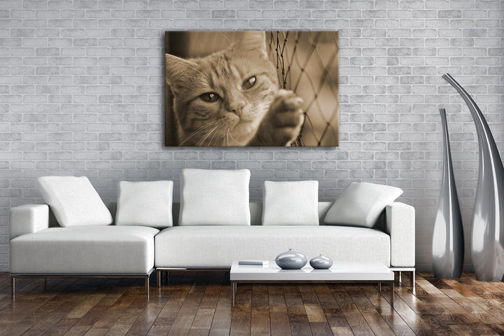 deyoli gefangene Katze Format: 80x60 Effekt: Sepia als Leinwand, Motiv fertig gerahmt auf Echtholzra