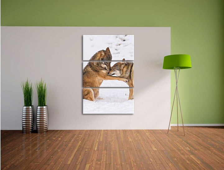 Pixxprint spielendes Wolfsrudel 3-Teiler Leinwandbild 120x80 Bild auf Leinwand