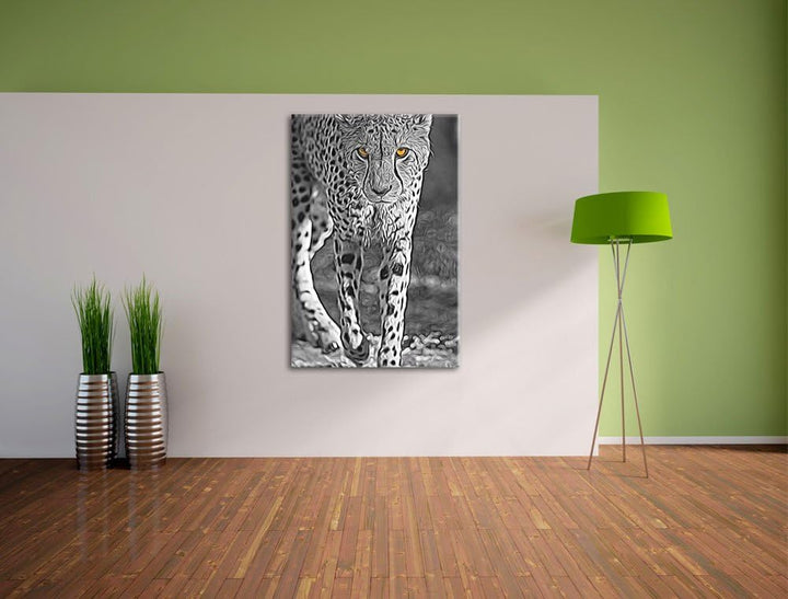 anpirschender listiger Gepard schwarz/weiss Deluxe Format: 100x70 cm auf Leinwand, XXL riesige Bilde