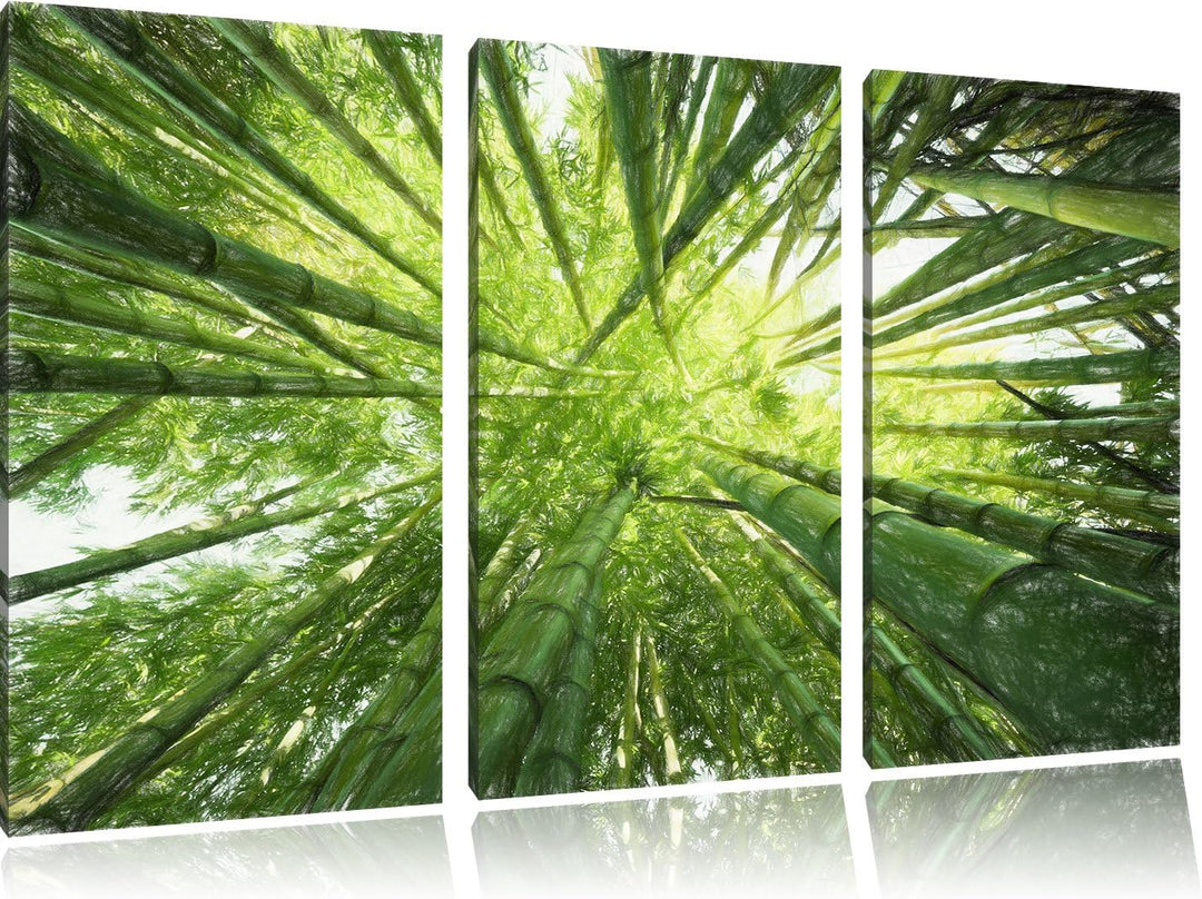 Pixxprint Bambus / 3-Teilig/Gesamtmass 120cm Leinwandbild bespannt auf Holzrahmen/Wandbild Kunstdruc