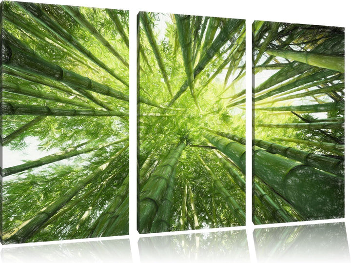 Pixxprint Bambus / 3-Teilig/Gesamtmass 120cm Leinwandbild bespannt auf Holzrahmen/Wandbild Kunstdruc