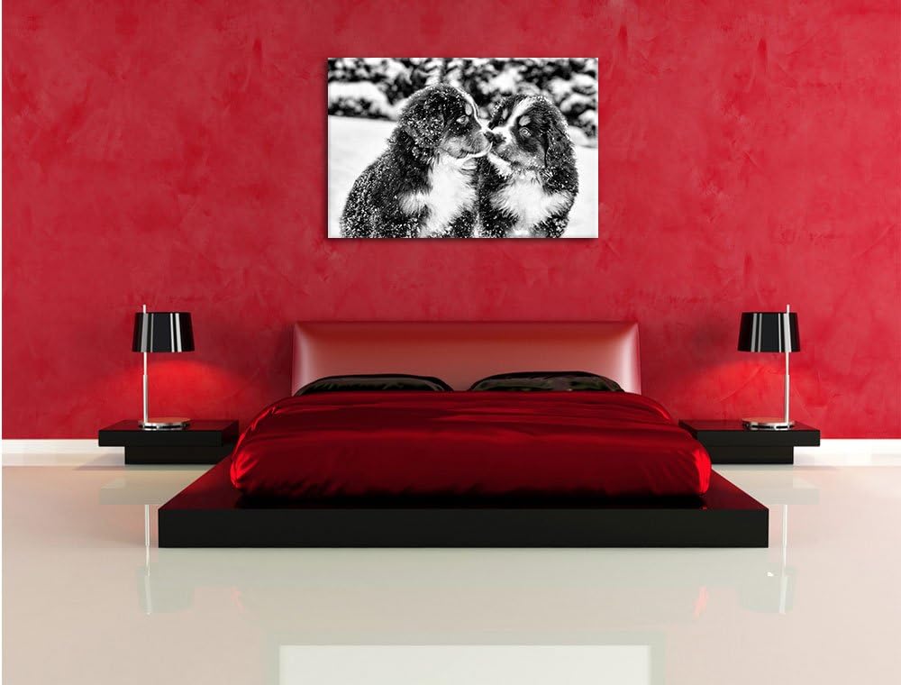 Pixxprint Bernersennen Hunde Welpen / 100x70cm Leinwandbild bespannt auf Holzrahmen/Wandbild Kunstdr