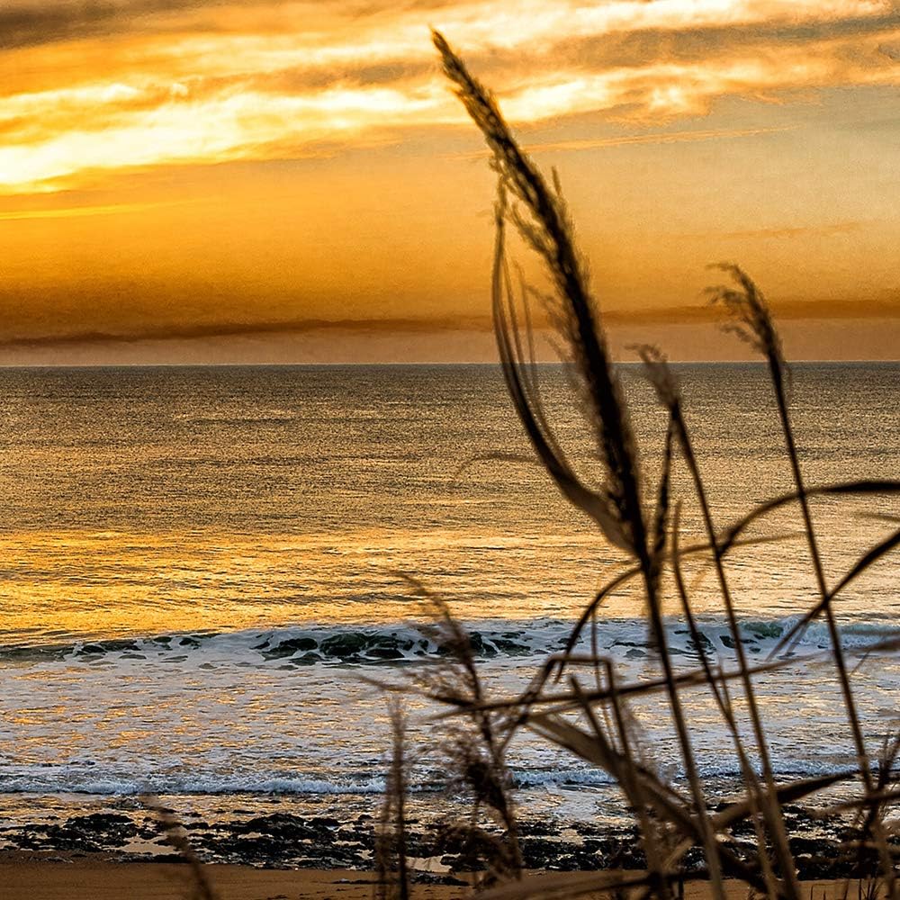 Feeby Bilder Natur 100x70 cm - Leinwandbild - 5 Teilig - Kunstdruck Gras Meer braun Leinwandbild 100