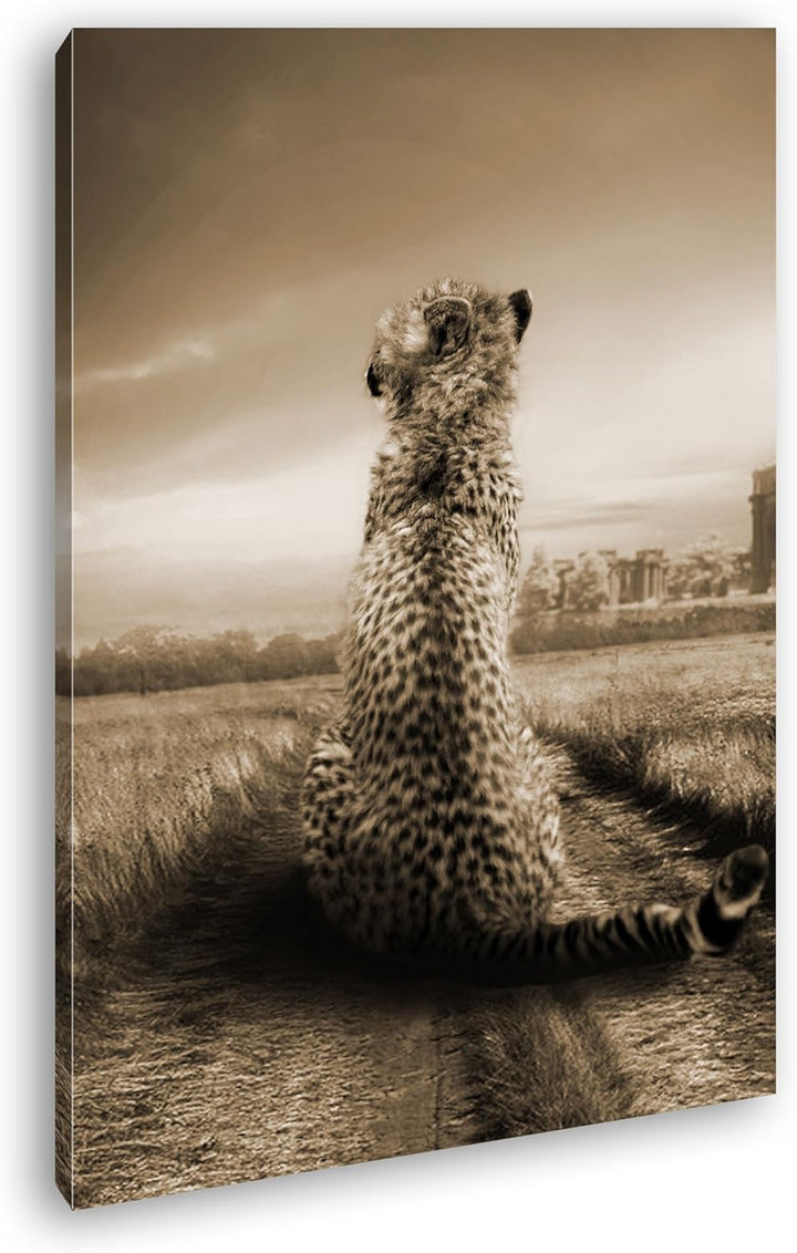 deyoli einsamer Gepard in schöner Landschaft Format: 100x70 Effekt: Sepia als Leinwandbild, Motiv fe