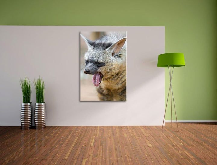 Pixxprint müde Hyäne auf Leinwand, XXL riesige Bilder fertig gerahmt mit Keilrahmen, Kunstdruck auf