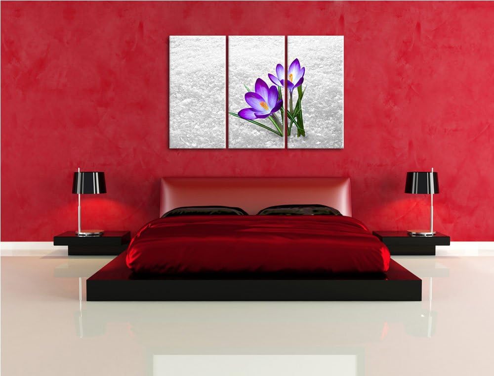 Lila Schnee Krokusse schwarz/weiss 3-Teiler Leinwandbild 120x80 Bild auf Leinwand, XXL riesige Bilde