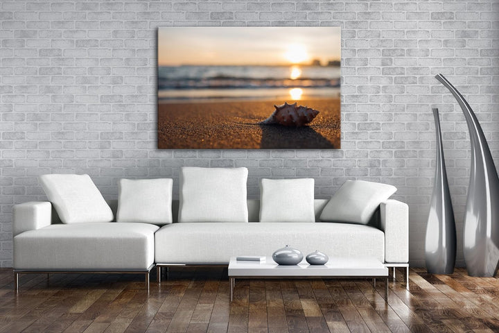 deyoli einzelne Muschel am Strand Format: 80x60 als Leinwand, Motiv fertig gerahmt auf Echtholzrahme