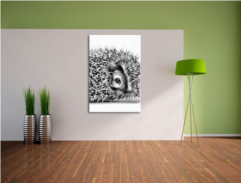 Pixxprint kleines niedliches Igel Baby als Leinwandbild/Grösse: 100x70 cm/Wandbild/Kunstdruck/fertig