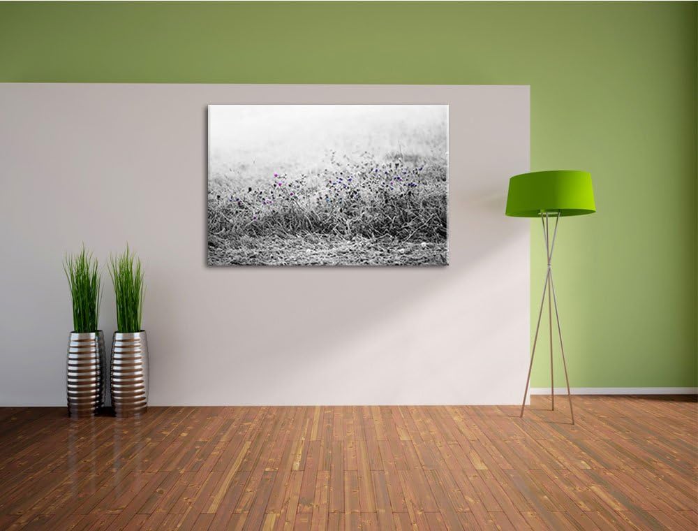 Distel Feld im Retro Look schwarz/weiss Format: 100x70 auf Leinwand, XXL riesige Bilder fertig gerah