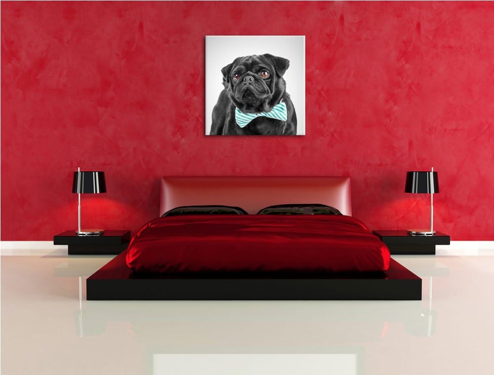 Pixxprint Mops mit lustig gestreifter Fliege als Leinwandbild Quadratisch/Grösse: 70x70 / Wandbild/K