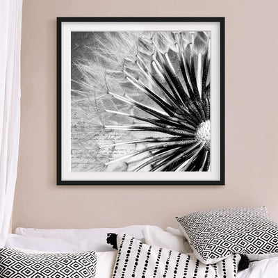 Bild mit Rahmen - Pusteblume Schwarz & Weiss - Rahmenfarbe Schwarz, 50 x 50 cm 50cm x 50cm Schwarz,