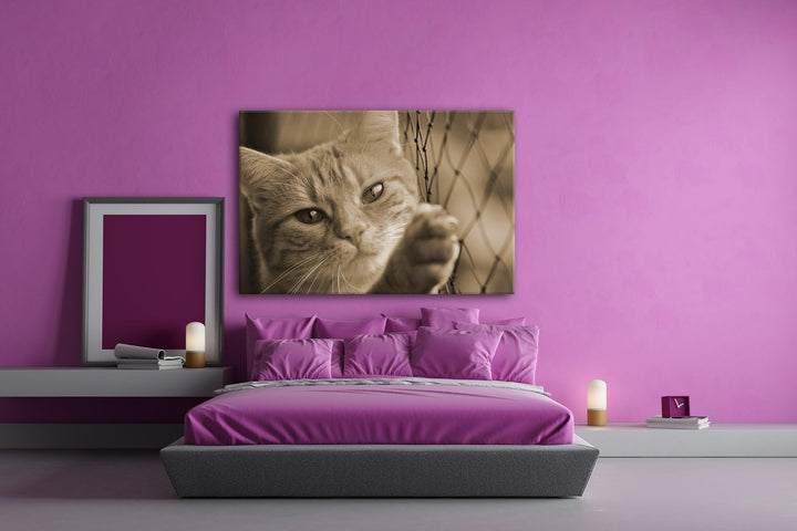 deyoli gefangene Katze Format: 80x60 Effekt: Sepia als Leinwand, Motiv fertig gerahmt auf Echtholzra