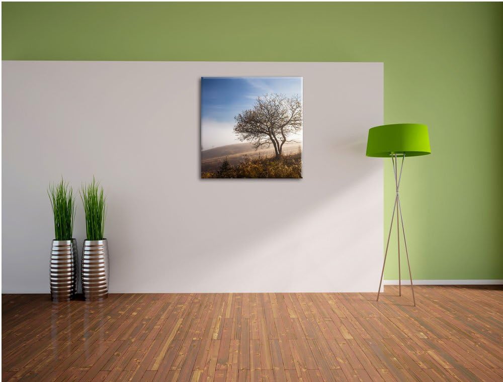 Pixxprint Baum im hohen Gras als Leinwandbild | Grösse: 70x70 cm | Wandbild | Kunstdruck | fertig be