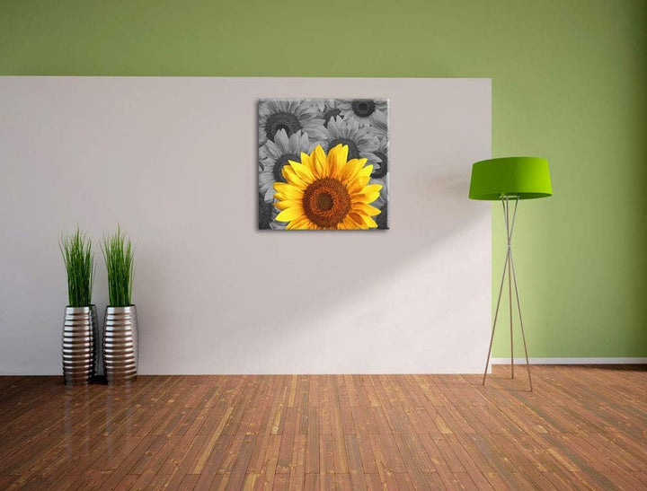 Pixxprint schöne Sonnenblumen als Leinwandbild | Grösse: 70x70 cm | Wandbild | Kunstdruck | fertig b