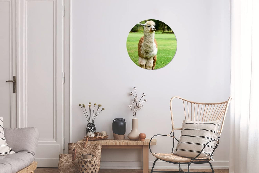 MuchoWow Wandbild Rund Wanddeko Deko Wohnzimmer Bilder 30x30 cm Alpaka - Weiss - Braun - Baum, 30x30