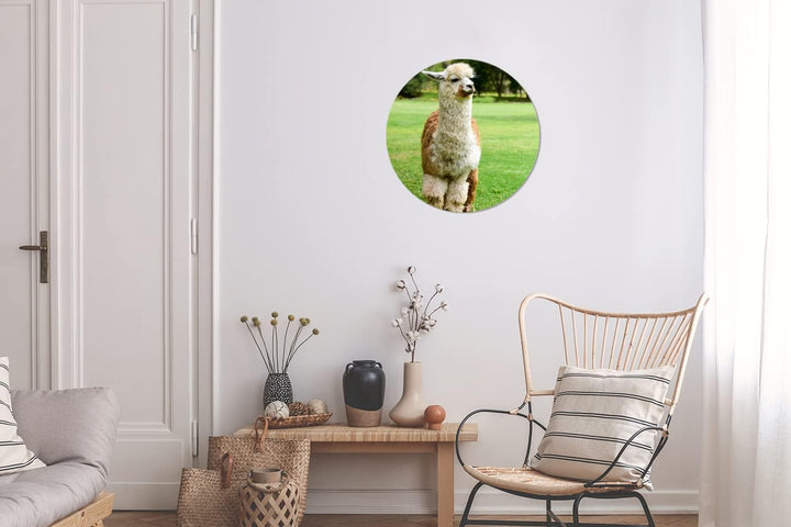 MuchoWow Wandbild Rund Wanddeko Deko Wohnzimmer Bilder 30x30 cm Alpaka - Weiss - Braun - Baum, 30x30