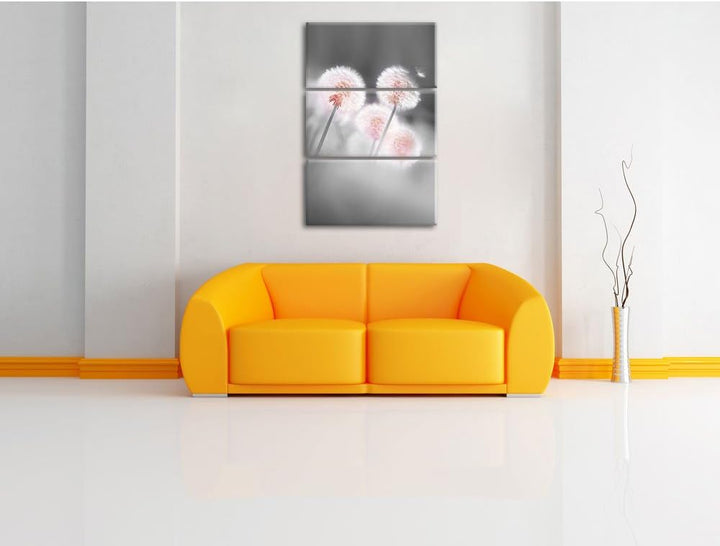 Pixxprint Pusteblumen im morgendlichen Wind B&W Detail 3-Teiler Leinwandbild 120x80 Bild auf Leinwan