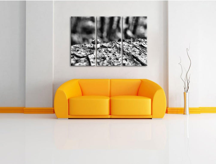 Pixxprint Kleiner Fliegenpilz auf Baumstamm als Leinwandbild/Grösse: 3 Teilig (120x80) / Wandbild/Ku