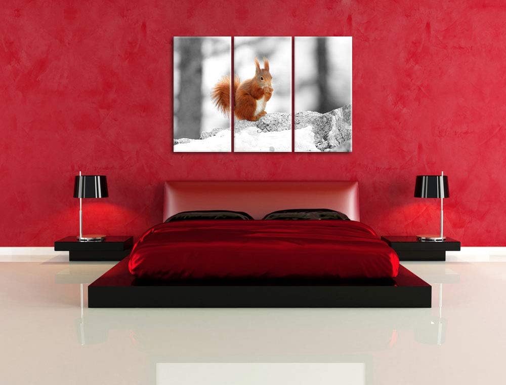 niedliches Eichhörnchen in verschneitem Wald schwarz/weiss 3-Teiler Leinwandbild 120x80 Bild auf Lei