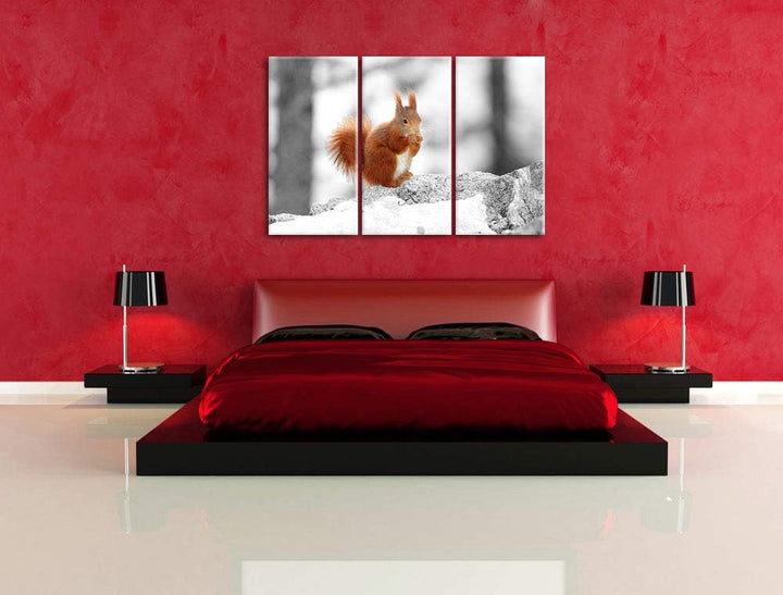 niedliches Eichhörnchen in verschneitem Wald schwarz/weiss 3-Teiler Leinwandbild 120x80 Bild auf Lei