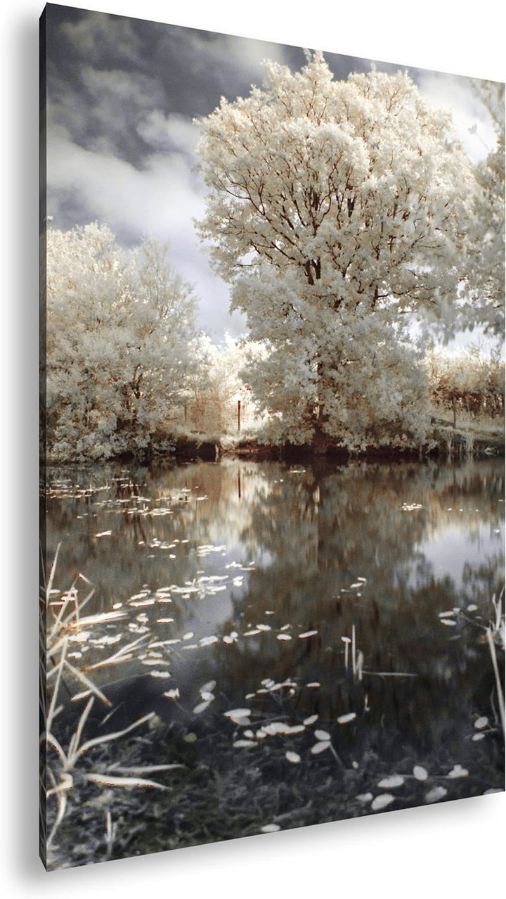atemberaubender Baum in der Natur im Format: 80x60 als Leinwandbild, Motiv fertig gerahmt auf Echtho