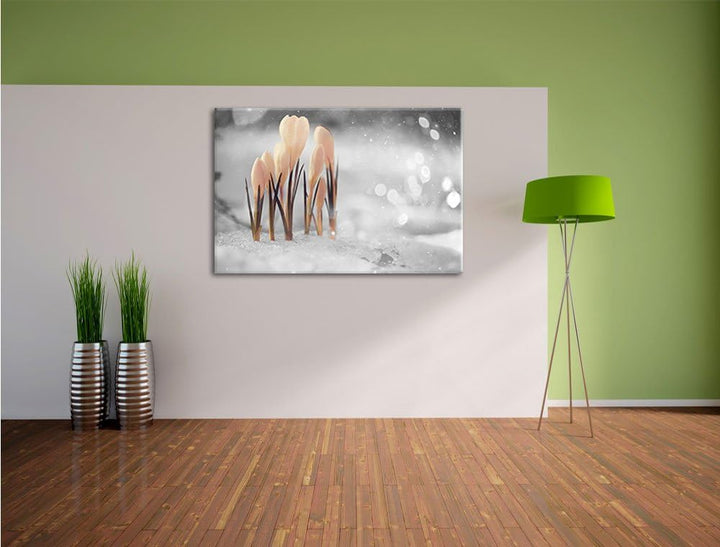 Pixxprint Schneeglöckchen im Frühjahr als Leinwandbild/Grösse: 100x70 cm/Wandbild/Kunstdruck/fertig