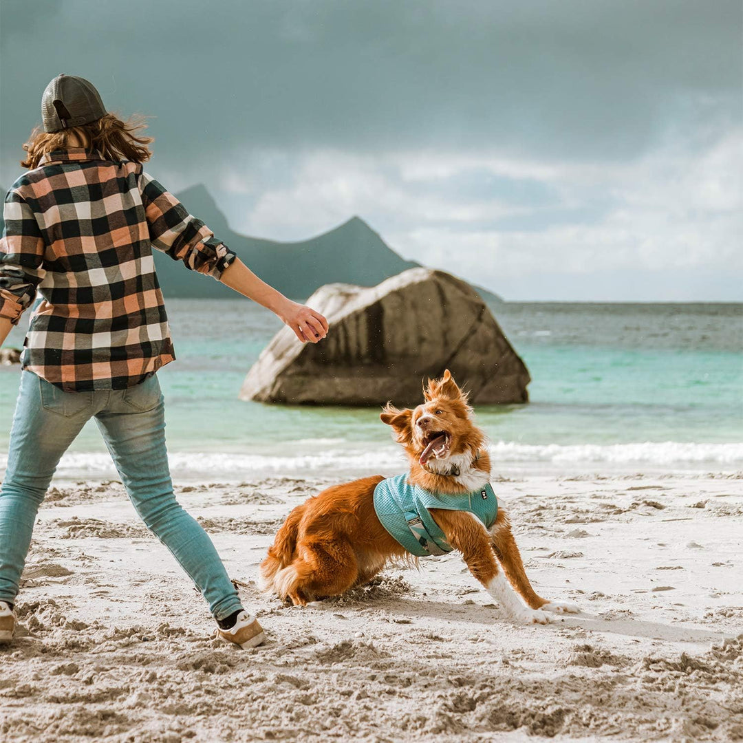 Hurtta Cooling Wrap Kühlweste für Hunde Sommer Kühlweste Aquamarin Hellblau 75-85cm aquamarine 75-85