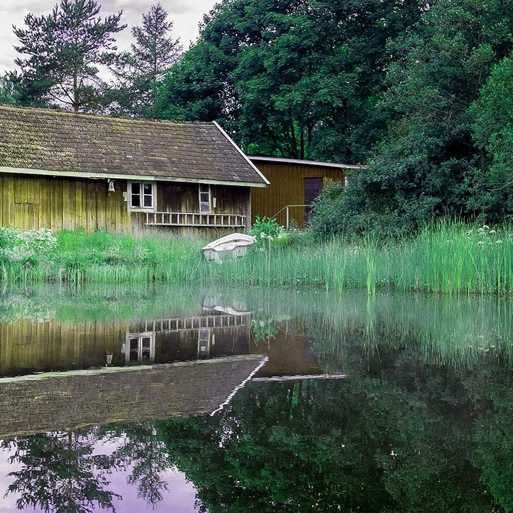 Feeby Viles - Leinwand Bilder - Fensterblick Natur- 120x80 cm- Deko Wohnzimmer - Wandbilder Schlafzi