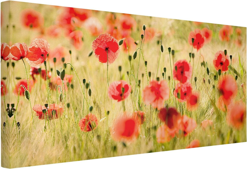 Bilderwelten Leinwandbild - Summer Poppies - Quer 1:2, 30cm x 60cm, 30cm x 60cm