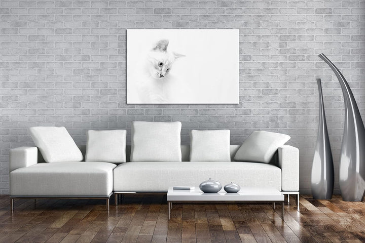 deyoli schneeweisses Kätzchen Effekt: Schwarz&Weiss, Format: 80x60 als Leinwandbild, Motiv fertig ge