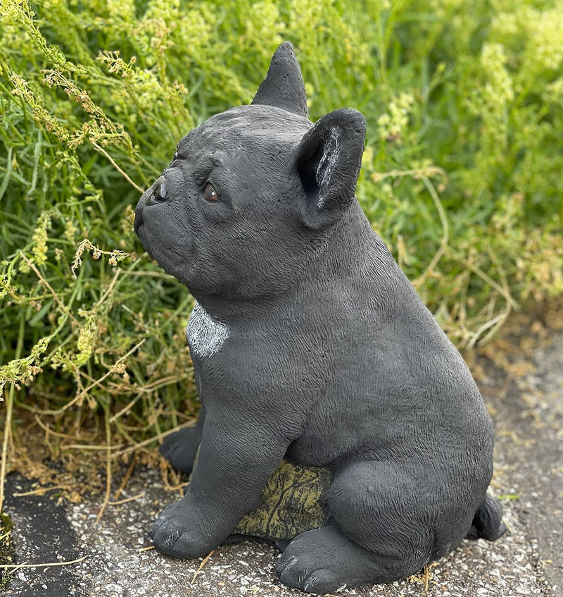 Stone and Style Steinfigur Frenchie schwarz Französische Bulldogge frostfest