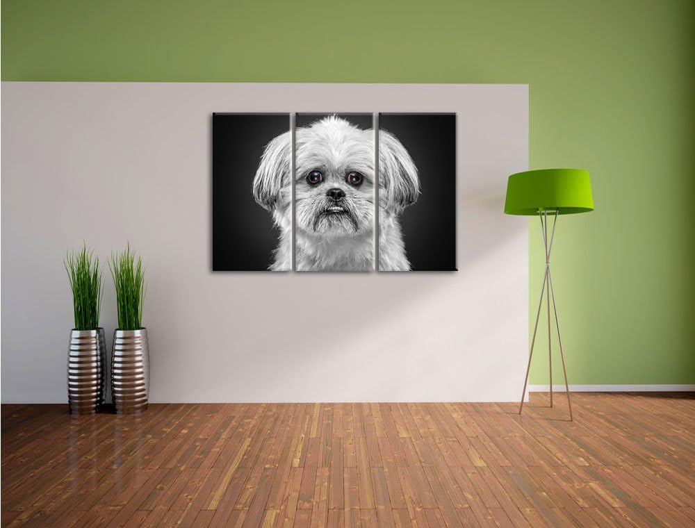 Pixxprint lustiger Kleiner Hund als Leinwandbild | Grösse: 3 Teilig (120x80) | Wandbild| Kunstdruck